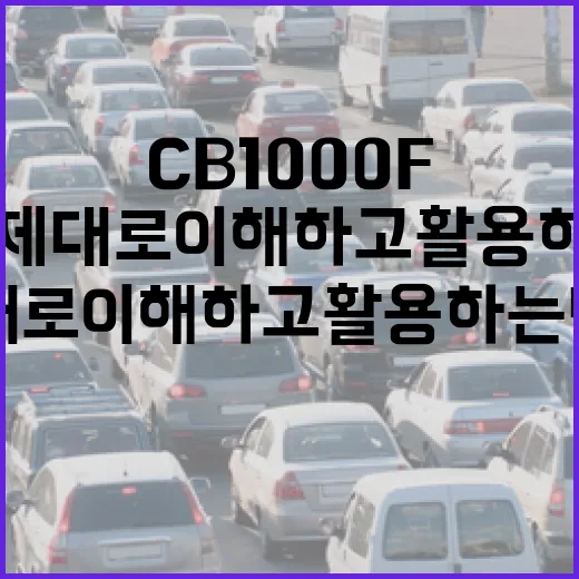 cb1000f를 제대로 이해하고 활용하는 방법 - 요약