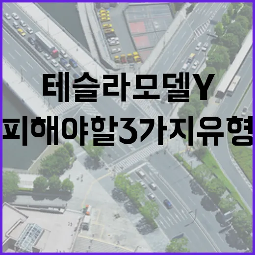 테슬라 모델Y, 피해야 할 3가지 유형 - 요약