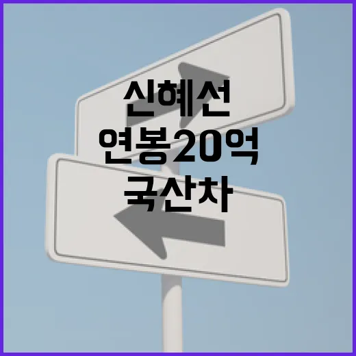 신혜선의 연봉 20억, 그녀가 선택한 국산차는? - 요약
