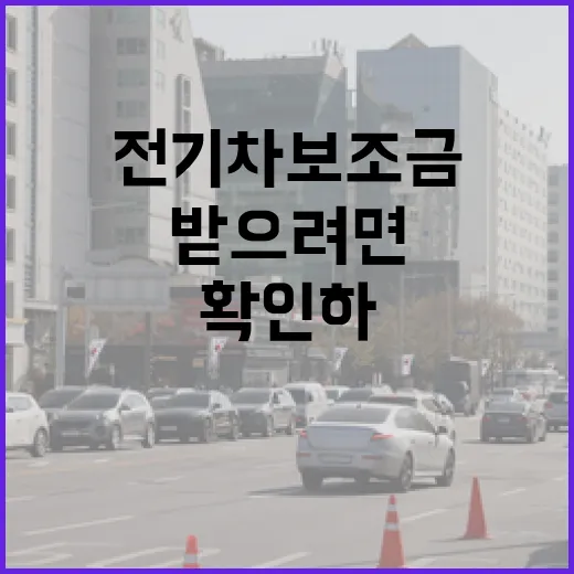 전기차보조금 놓치지 않고 받으려면 이렇게 확인하는 방법 - 요약