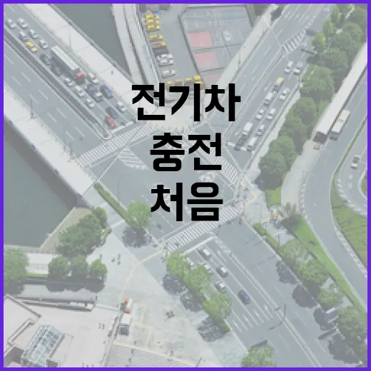 전기차 처음 운전할 때 충전·주차로 덜 헤매는 방법 - 요약