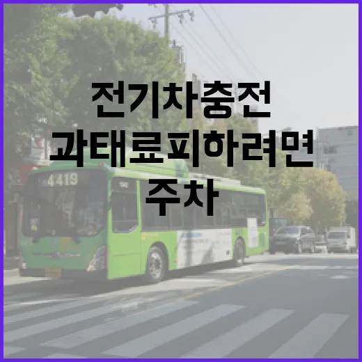 전기차 충전 주차 과태료 피하려면 이렇게 확인하세요 - 요약