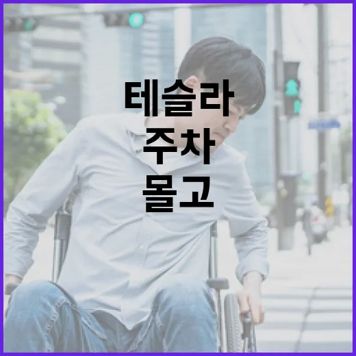 테슬라 처음 몰고 주차하려면 이렇게 익숙해지면 편합니다 - 요약