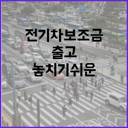 전기차보조금 받으려면 이렇게 확인하세요, 출고 전에 놓치기 쉬운 순서 - 요약