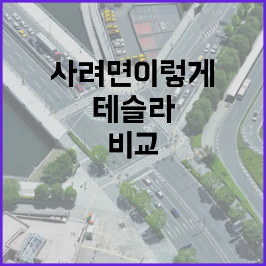 테슬라 처음 사려면 이렇게 비교하는 방법 - 요약