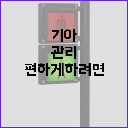 기아 차주가 주차 편하게 하려면 이렇게 관리하면 됩니다 - 요약