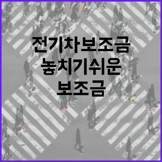 전기차보조금 받으려면 이렇게 확인하세요, 계약 전 놓치기 쉬운 순서 - 요약