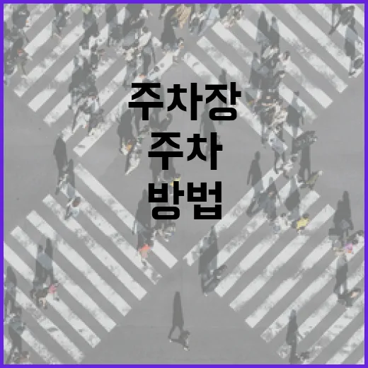 기아차 운전자가 주차장에서 덜 헤매는 방법 - 요약