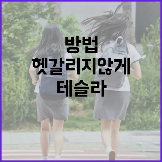 테슬라 처음 관심 가질 때 헷갈리지 않게 보는 방법 - 요약