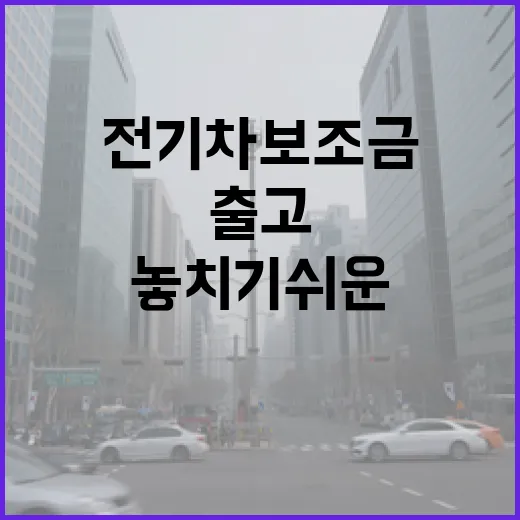전기차보조금 받으려면 이렇게 확인하세요, 출고 전에 놓치기 쉬운 순서 - 요약