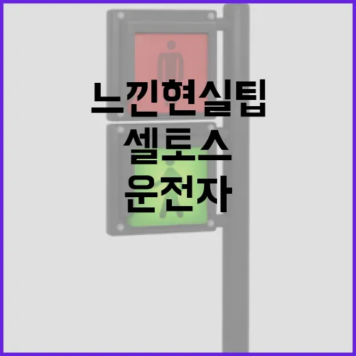 셀토스 주차 쉽게 하려면 이렇게, 14년 운전자가 느낀 현실 팁 - 요약