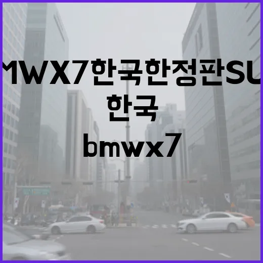 BMW X7 한국 한정판 SUV 사기 전 주차장부터 계산하는 방법 - 요약