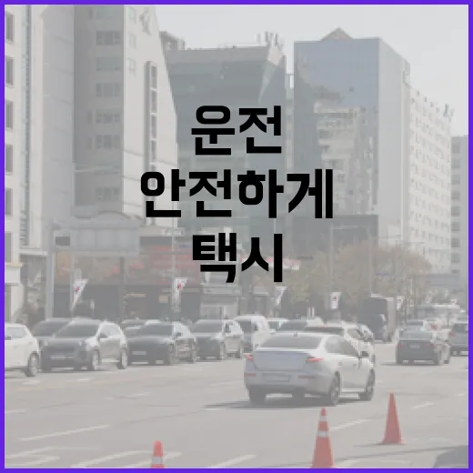 택시운전사처럼 덜 헤매고 안전하게 운전하는 방법 - 요약