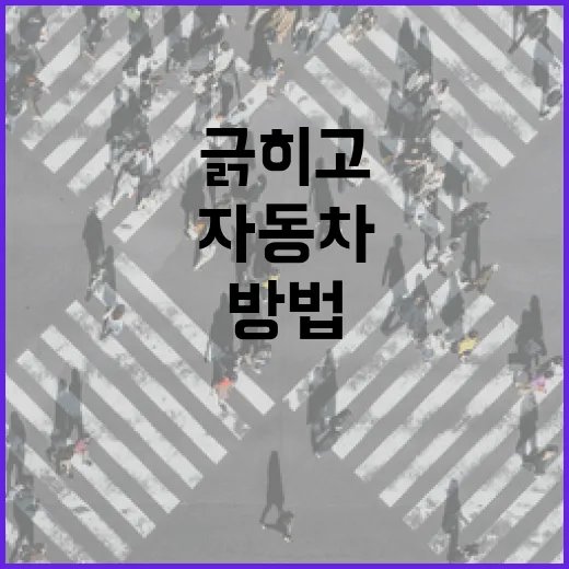 자동차 주차장에서 덜 긁히고 덜 헤매는 방법 - 요약