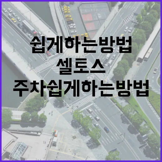셀토스 주차 쉽게 하는 방법, 차폭 감 잡으려면 이렇게 - 요약