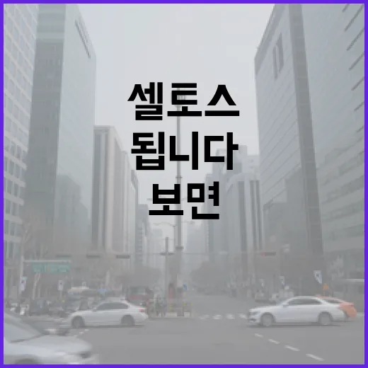 셀토스 주차 편하게 하려면 이렇게 보면 됩니다 - 요약