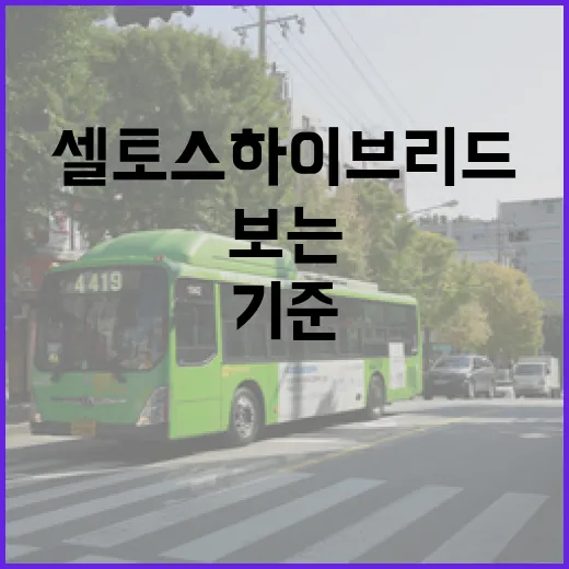 셀토스하이브리드 기다리는 사람이라면 주차장 기준으로 따져보는 방법 - 요약