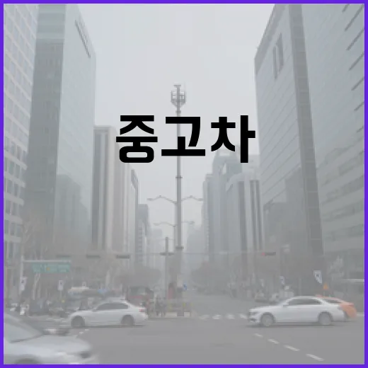 중고차 사기 전에 돈 덜 날리는 확인 방법 - 요약