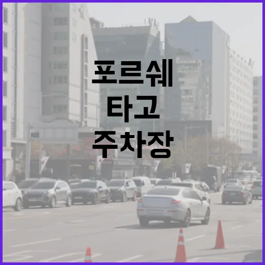 포르쉐 타고 주차장 들어가려면 이렇게 확인하세요 - 요약