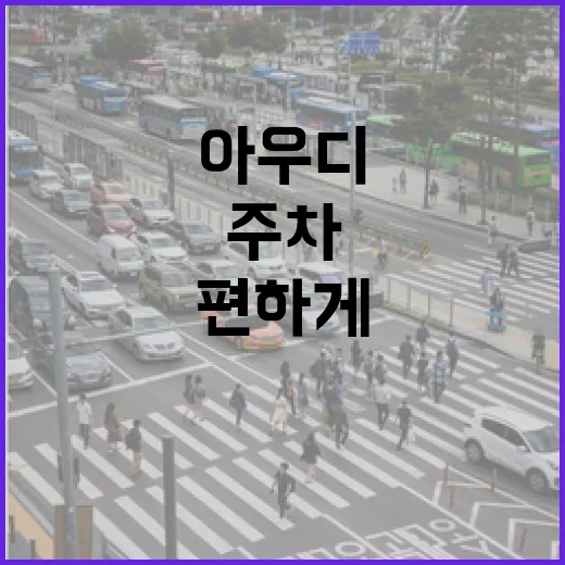 아우디 타고 주차 편하게 하려면 이렇게 해두면 덜 긁힙니다 - 요약