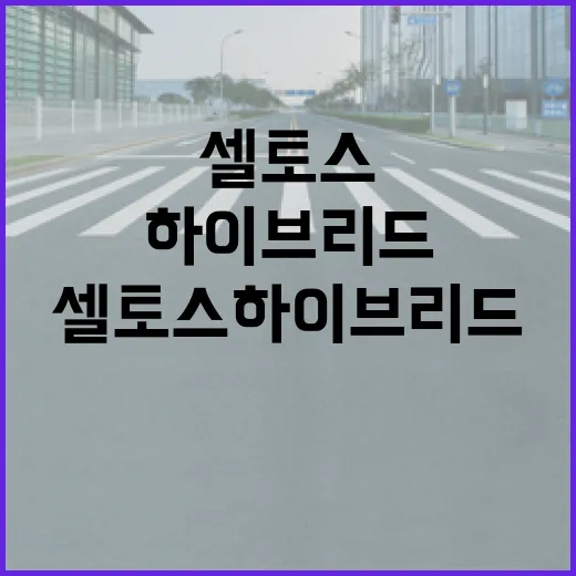 셀토스하이브리드 기다리는 사람을 위한 실구매 판단 방법 - 요약
