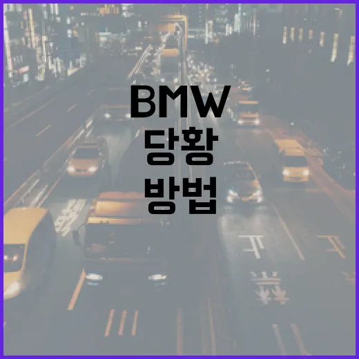 BMW 운전자가 주차장에서 덜 긁히고 덜 당황하는 방법 - 요약