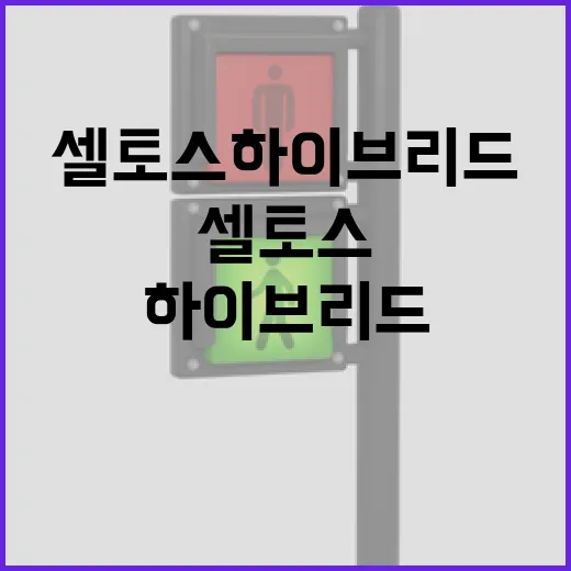 셀토스하이브리드 기다리는 운전자가 구매 전 따져보는 방법 - 요약