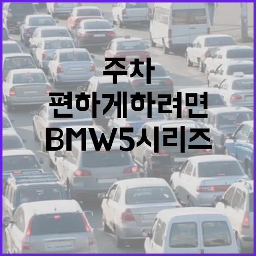 BMW5시리즈 주차 편하게 하려면 이렇게 잡아야 덜 긁힙니다 - 요약