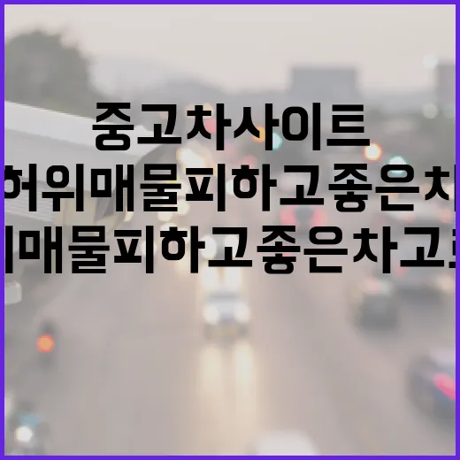 현대중고차사이트에서 허위매물 피하고 좋은 차 고르는 방법 - 요약
