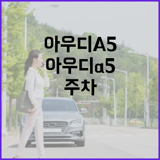 아우디A5 주차 편하게 하려면 이렇게 잡으면 됩니다 - 요약