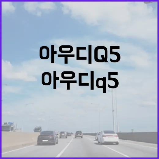 아우디Q5 주차 편하게 하려면 이렇게 잡으면 됩니다 - 요약