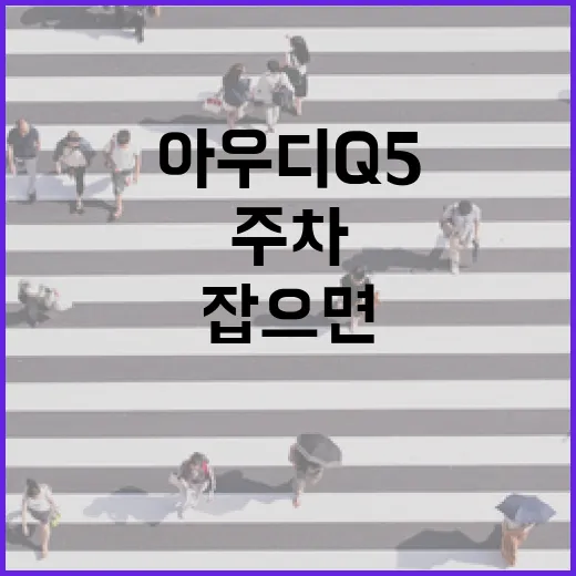 아우디Q5 주차 편하게 하려면 이렇게 잡으면 덜 긁힙니다 - 요약