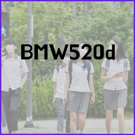 BMW520D 주차 편하게 하려면 이렇게 확인하세요 - 요약