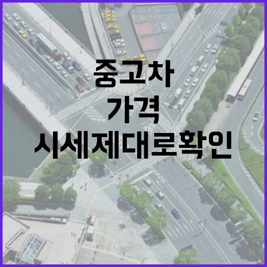 중고차시세 제대로 확인하는 방법, 매물 가격에 흔들리지 않으려면 이렇게 - 요약