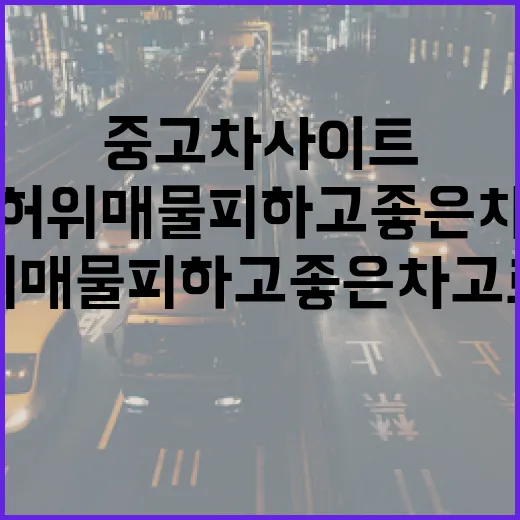 중고차사이트에서 허위매물 피하고 좋은 차 고르는 방법 - 요약