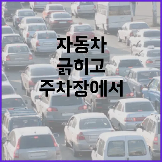 자동차 주차장에서 덜 긁히고 덜 당황하려면 이렇게 하세요 - 요약