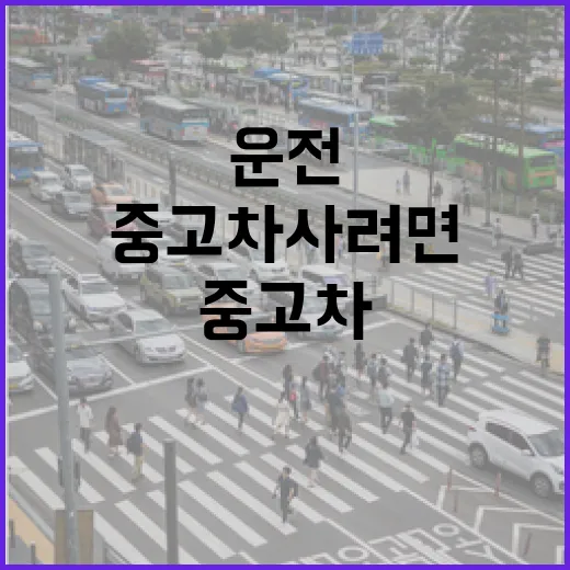 중고차 사려면 이렇게 확인하세요: 14년 운전하며 배운 실전 체크법 - 요약
