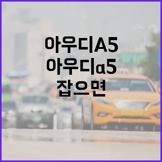 아우디A5 주차 편하게 하려면 이렇게 잡으면 됩니다 - 요약