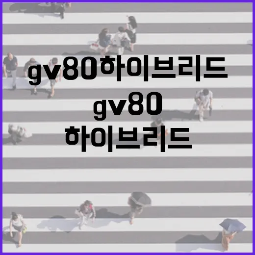 GV80하이브리드 기다리는 사람이라면 이렇게 확인하는 방법 - 요약