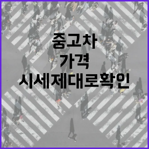 중고차시세 제대로 확인하는 방법, 주차장 흠집까지 보고 가격 깎는 요령 - 요약