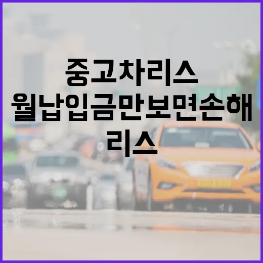 중고차리스 하려면 이렇게 따져보세요, 월 납입금만 보면 손해 봅니다 - 요약