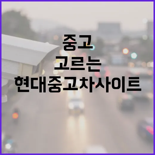현대중고차사이트에서 허탕 덜 치고 차 고르는 방법 - 요약
