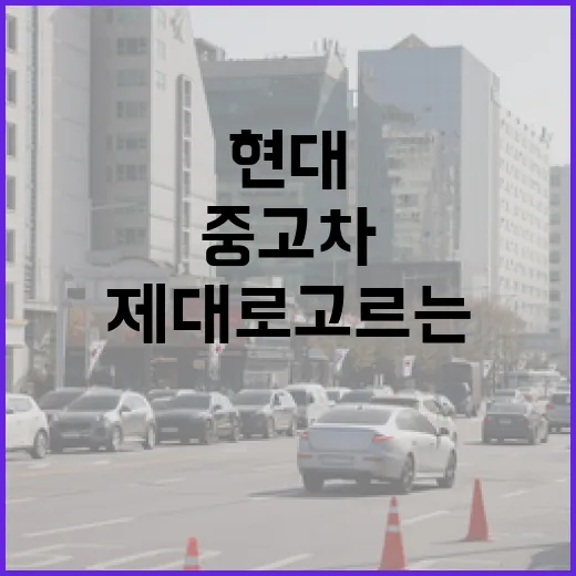 현대중고차 제대로 고르는 방법, 주차장까지 보고 결정하세요 - 요약