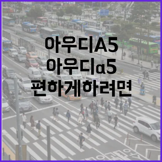 아우디A5 주차 편하게 하려면 이렇게 보면 됩니다 - 요약
