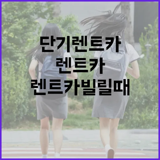단기렌트카 빌릴 때 덜 당황하는 방법, 계약서부터 주차 과태료까지 이렇게 보세요 - 요약