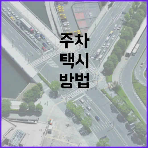 택시운전사처럼 덜 헤매고 주차하는 방법 - 요약
