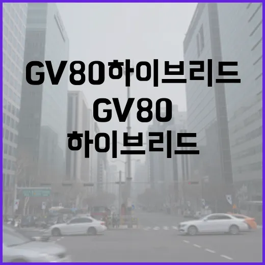 GV80하이브리드 기다리는 사람이라면 이렇게 따져보는 방법 - 요약