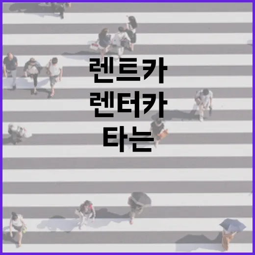 렌트카 빌릴 때 과태료 덜 물고 편하게 타는 방법 - 요약