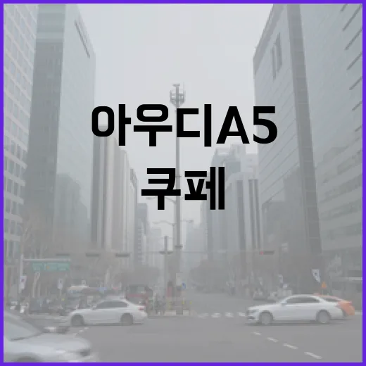 아우디A5 주차 편하게 하는 방법, 쿠페 감성은 살리고 흠집은 줄이려면 이렇게 - 요약