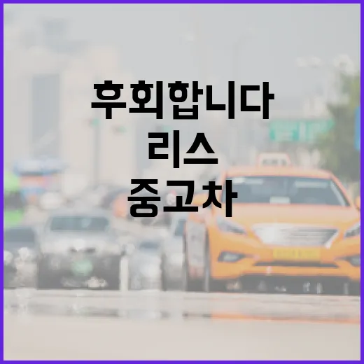 중고차리스 하려면 이렇게 따져야 덜 후회합니다 - 요약